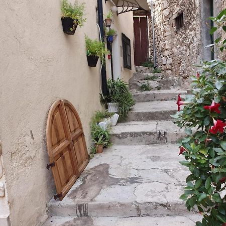 Room With Shared Bathroom House Gorica Σίμπενικ Εξωτερικό φωτογραφία